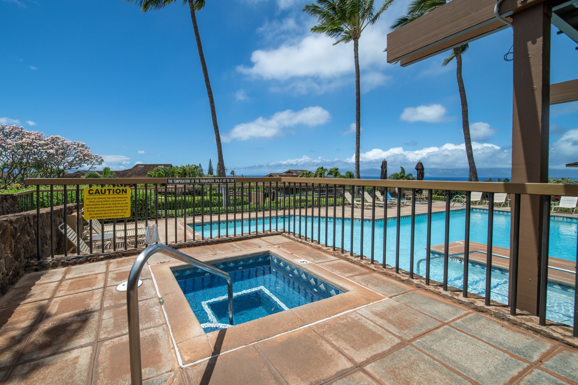 Masters kaanapali condo for sale